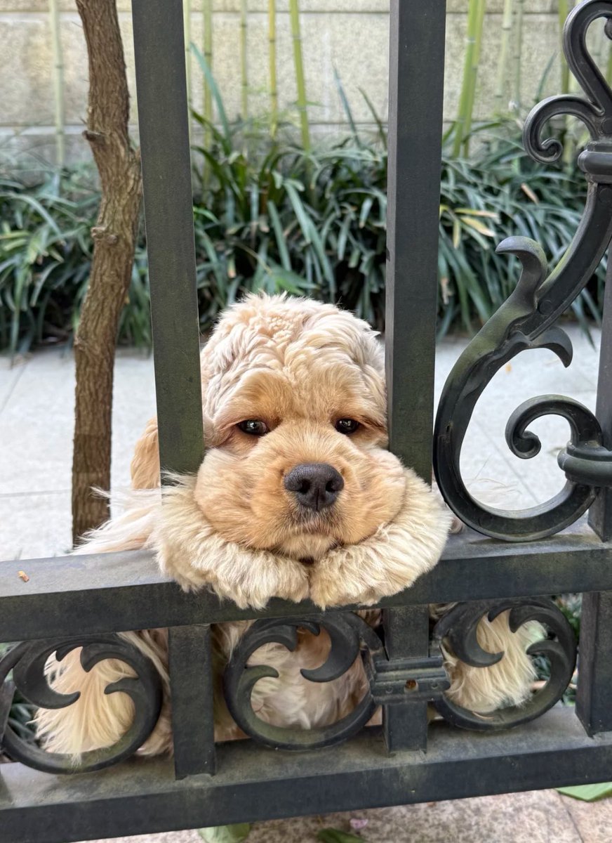 twaniimals's tweet photo. https://t.co/4uNZRDE4R7