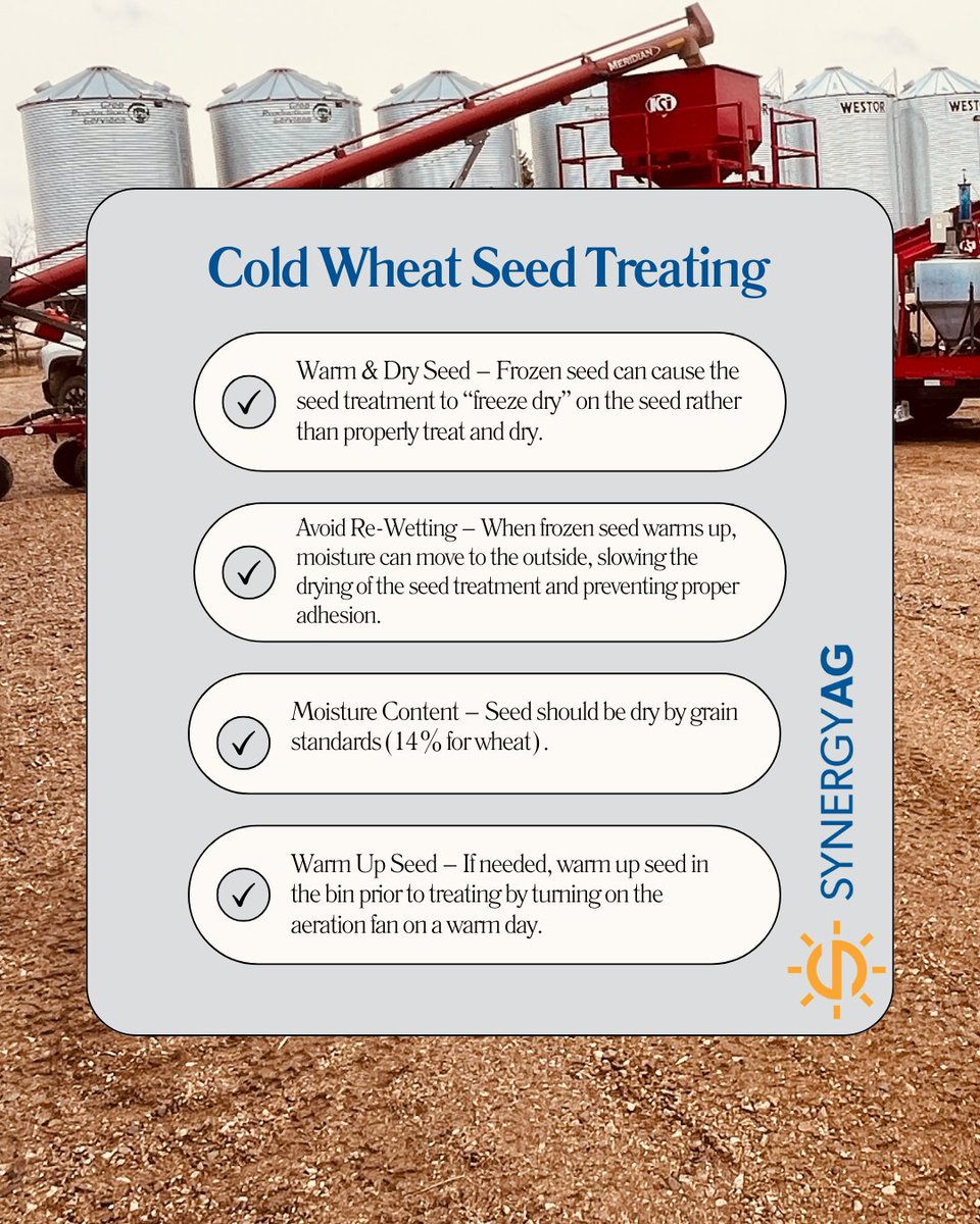 SynergyGrenfell's tweet photo. To properly treat cold wheat seed, ensure it's warm and dry before applying the treatment, as frozen seed can cause the treatment to flash-freeze, preventing proper mixing and drying.
#synergyag #rootsyoucancounton #seedtreating #coldwheat #agriculture https://t.co/EbT2hK6gxO