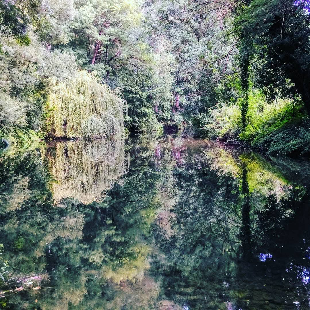 Graham McMillan (Mac) 🏴󠁧󠁢󠁳󠁣󠁴󠁿 🇫🇷🇦🇺🇪🇺 tweet media