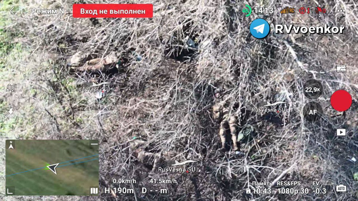 ug_chelsea's tweet photo. 🇷🇺🇺🇦Bloody failure of the offensive near Kupyansk: the Russian Army defeated the elite special forces of the GUR🔞🔞 https://t.co/G1nK2xd61G