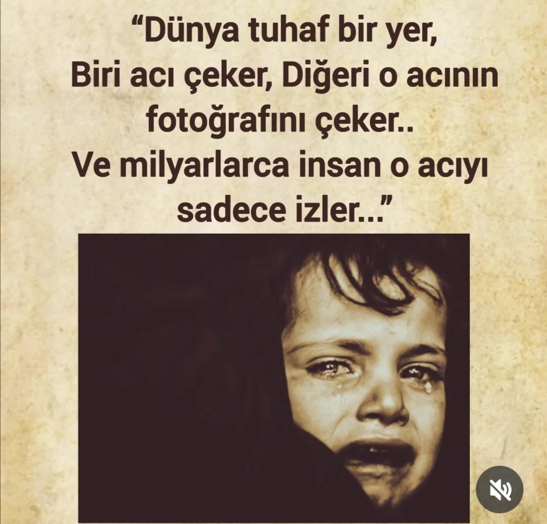 Elif Pabucci tweet media