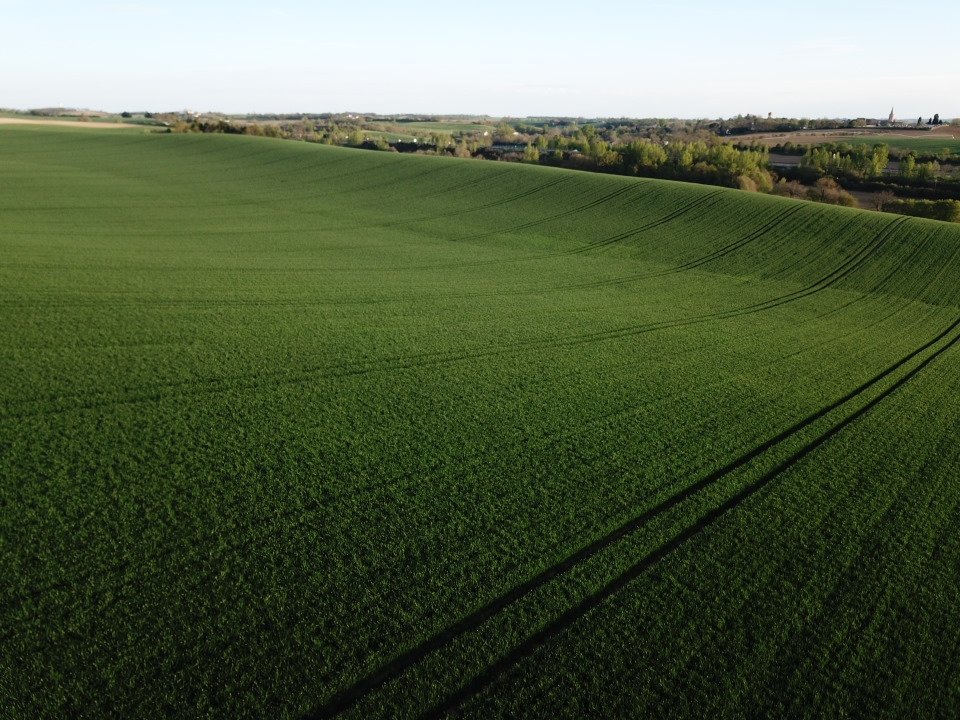 LABEDAN vincent tweet media