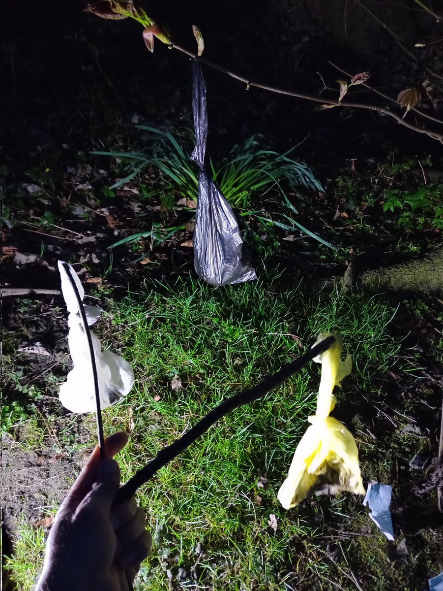 Edinburgh Lone Litter Picker tweet media