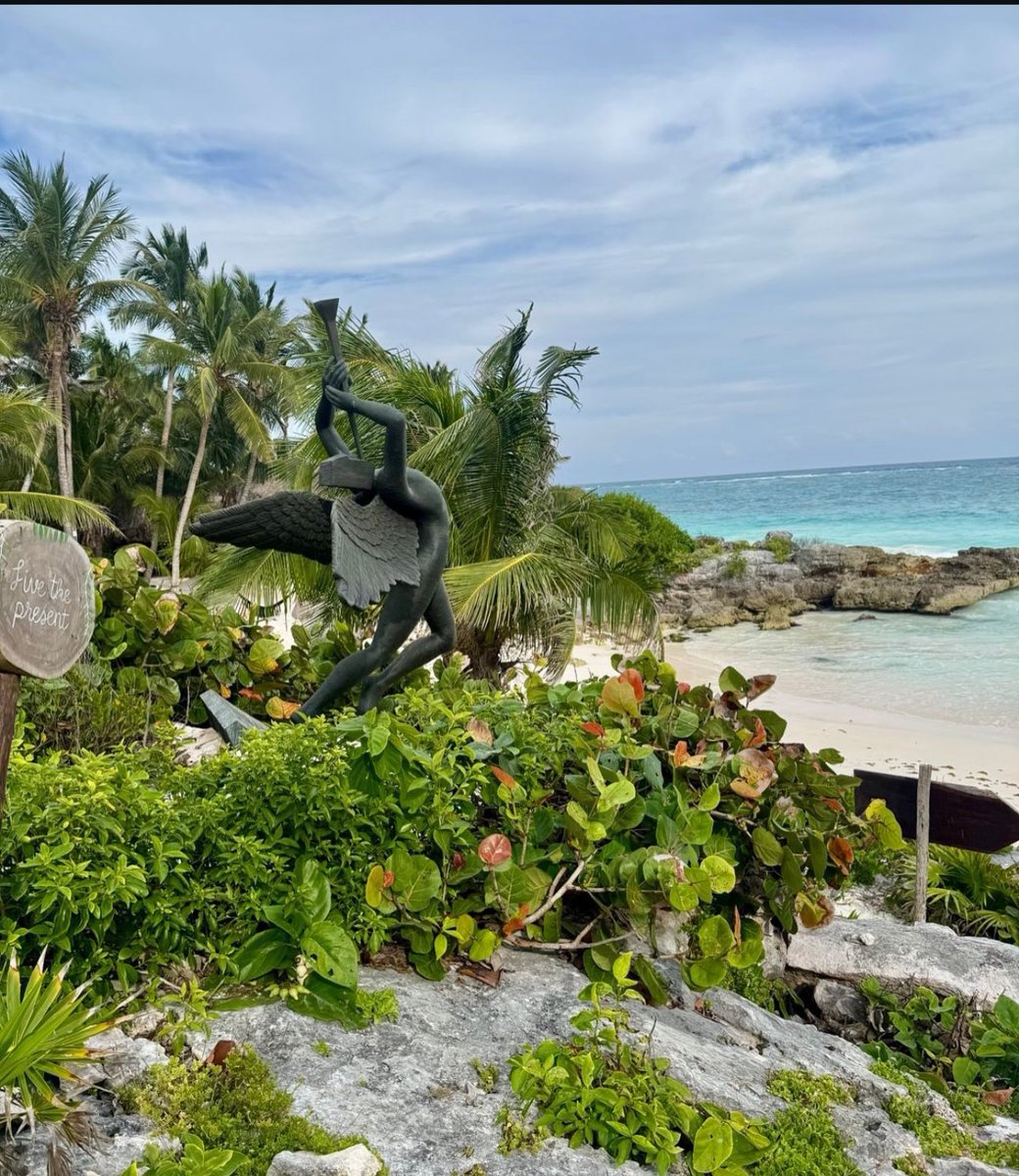 🌴la belleza de Tulum desde el <a href="/diamantektulum/">Diamante K Tulum</a> 

.
.
.

#GuardiánTulum #TulumVibes #EspírituDeTulum #ConectaConLaTierra #DespiertaEnElParaíso #TulumEnergético #JungleMagic #AhauTulum