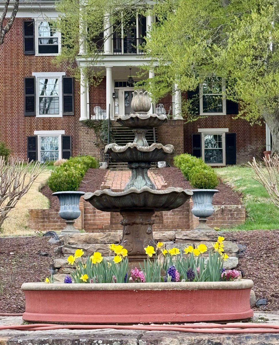 Castleton Festival tweet media