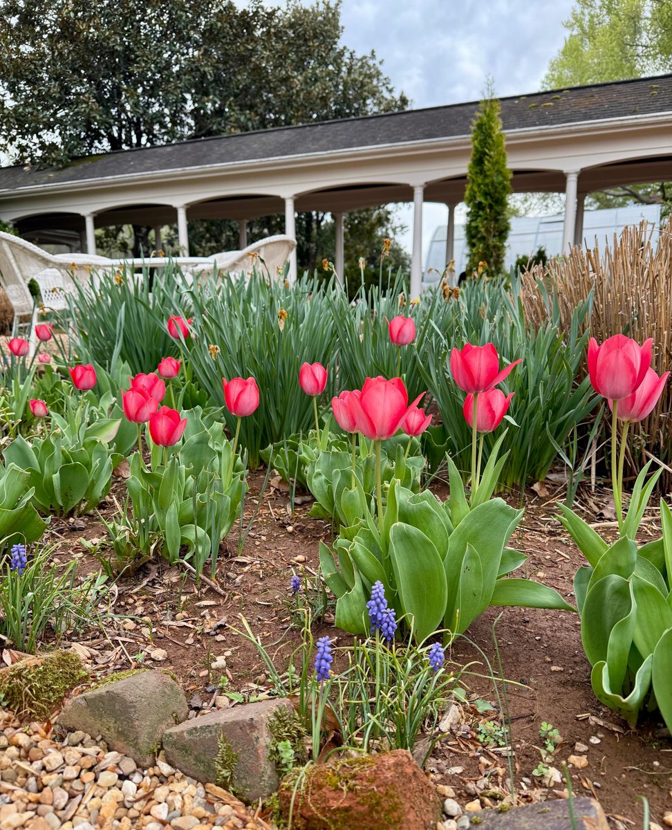 Castleton Festival tweet media