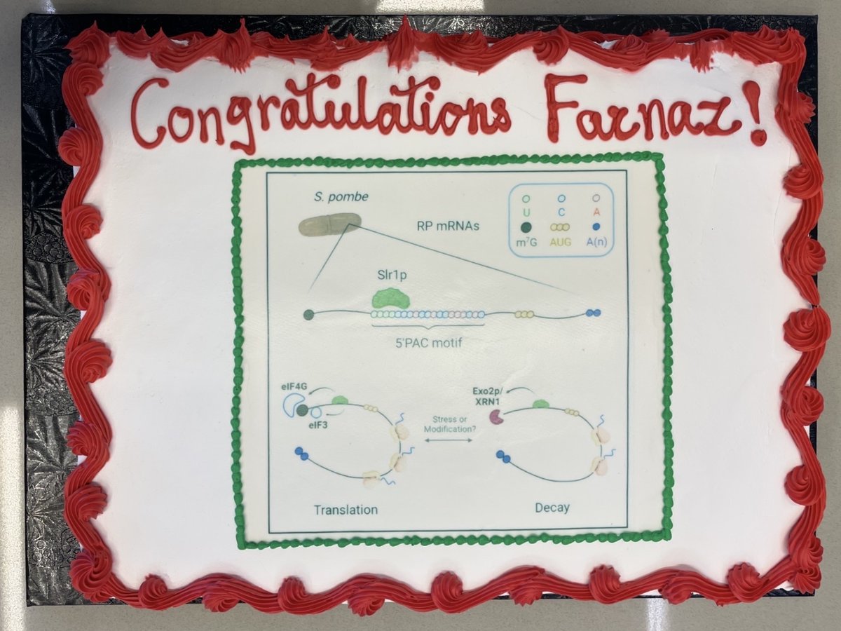 BayfieldLab's tweet photo. Congratulations to Farnaz Mansouri-Noori on her recent successful Ph.D. defence! https://t.co/EiYhcPbPfj