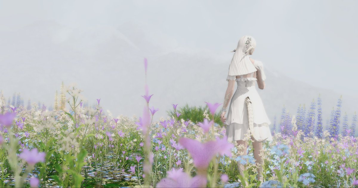 llamy_adventure's tweet image. "Lost"
˚ ✦ . . ˚ . . ✦ ˚ . ★⋆. . ˚ * ✦ . . ✦ ˚ ˚ .˚ . . ˚ .
#GPOSERS #eorzeaphotos #Au_Ra