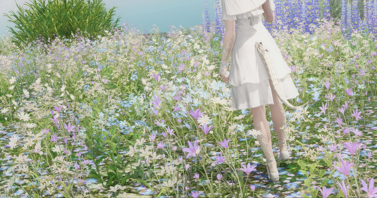 llamy_adventure's tweet image. "Lost"
˚ ✦ . . ˚ . . ✦ ˚ . ★⋆. . ˚ * ✦ . . ✦ ˚ ˚ .˚ . . ˚ .
#GPOSERS #eorzeaphotos #Au_Ra