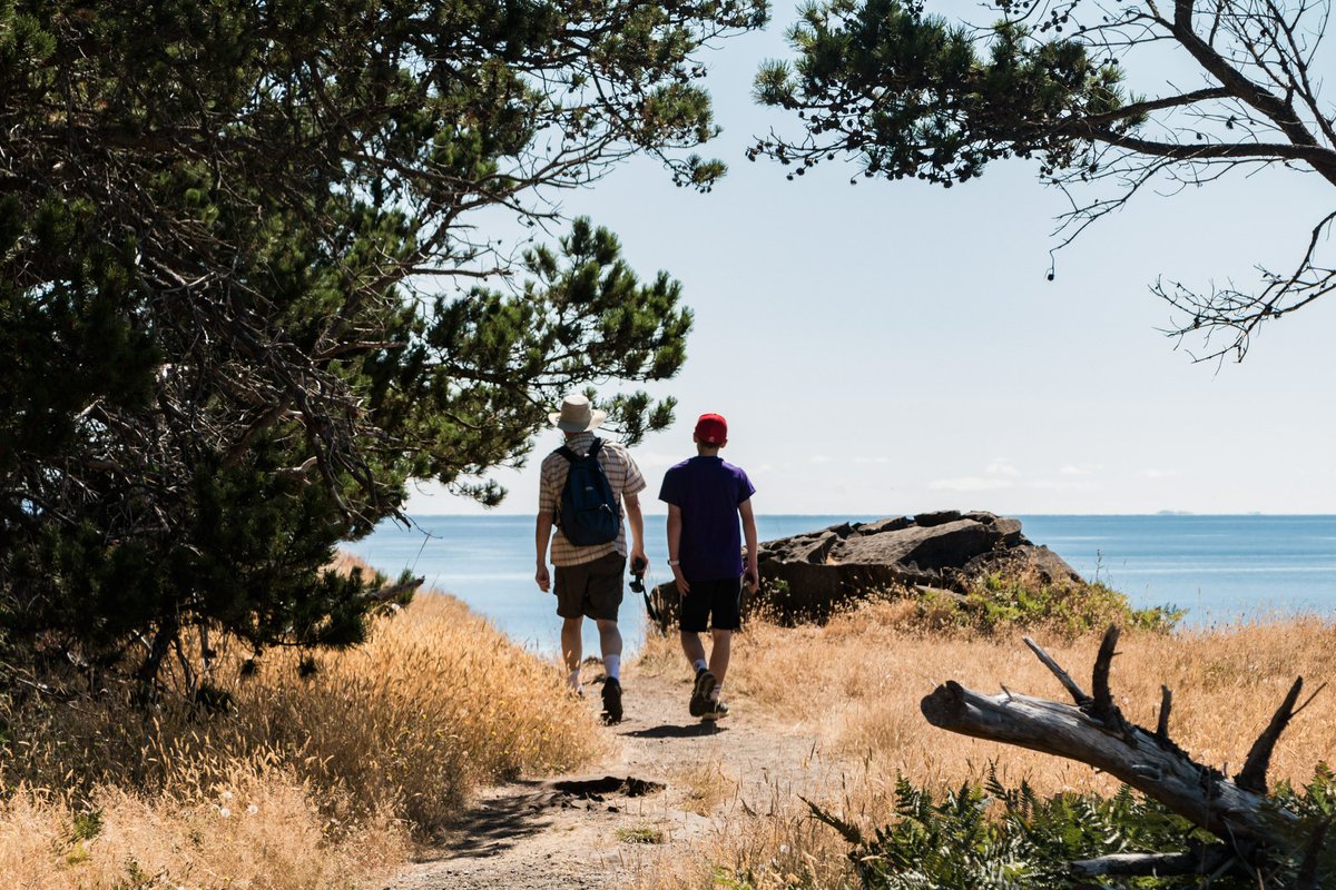 Ben Steiner tweet media