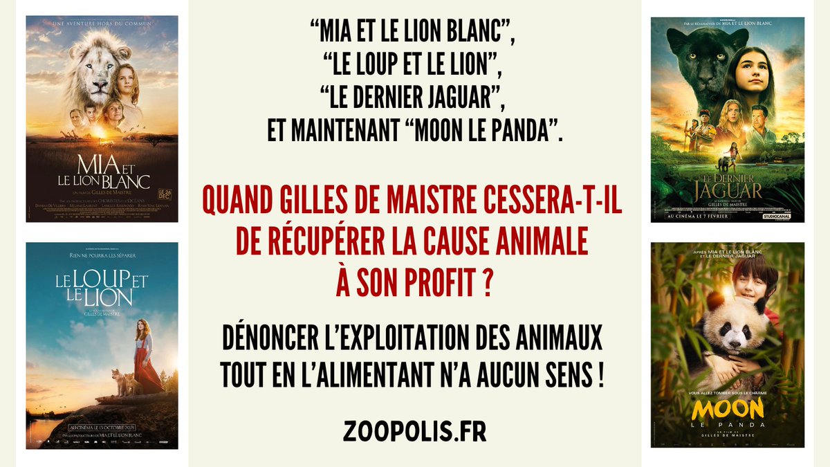 paz_zoopolis's tweet photo. 🐼#MoonLePanda : PAZ organise des mobilisations pour dénoncer le système De Maistre
🎬Il est temps de faire des films sans exploiter de véritables animaux sauvages
@Gaumont @canalplus @M6 : cessez de financer des films qui alimentent le dressage
#LeDernierJaguar #MiaEtLeLionBlanc https://t.co/81bOS2Lxh8