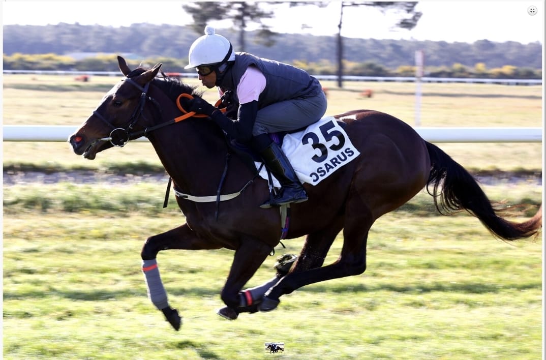 donna_cowens's tweet photo. A great start. Lot 35 @IrishNatStud Lucky Vega x Veronica falls. Making our first sale of the season a successful one. Best of luck to her new connections. 🏇🏇 https://t.co/Y3ZMW90kCn