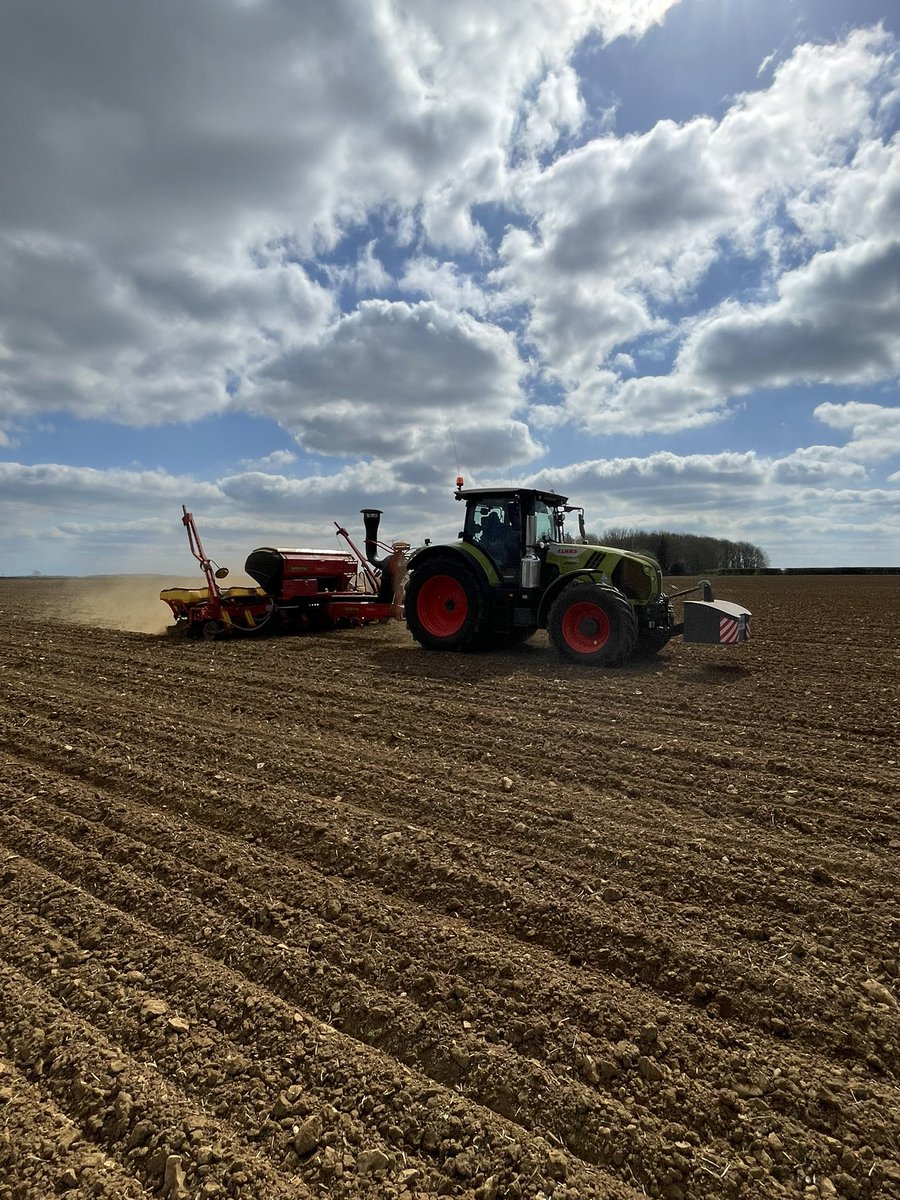 matt pickering tweet media