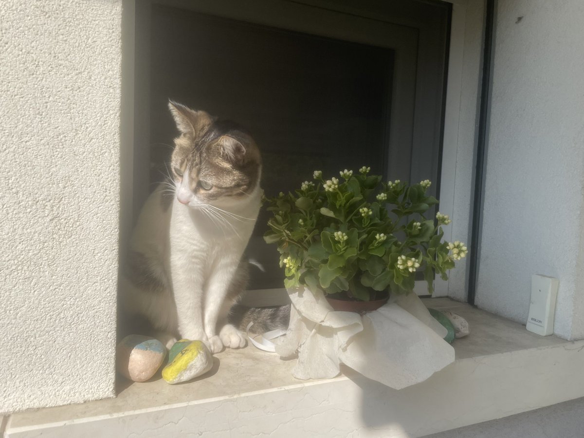 #Primavera