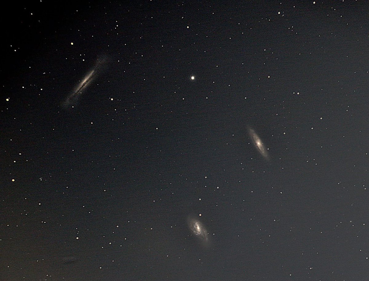 Mike Shaw tweet media