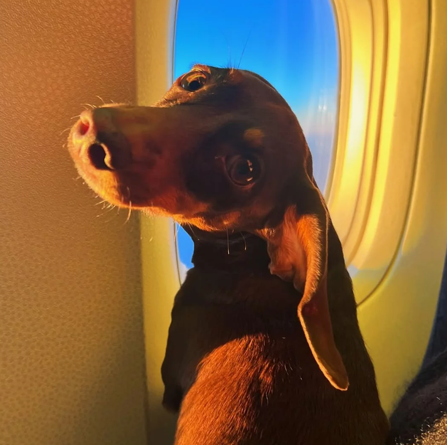 Viajando de avião 🛩