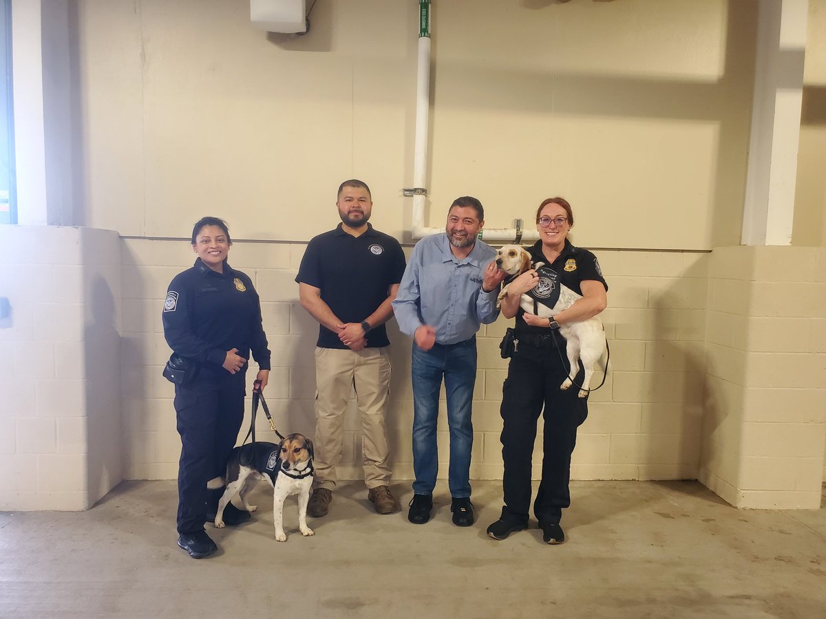 Ashley Griffiths tweet media