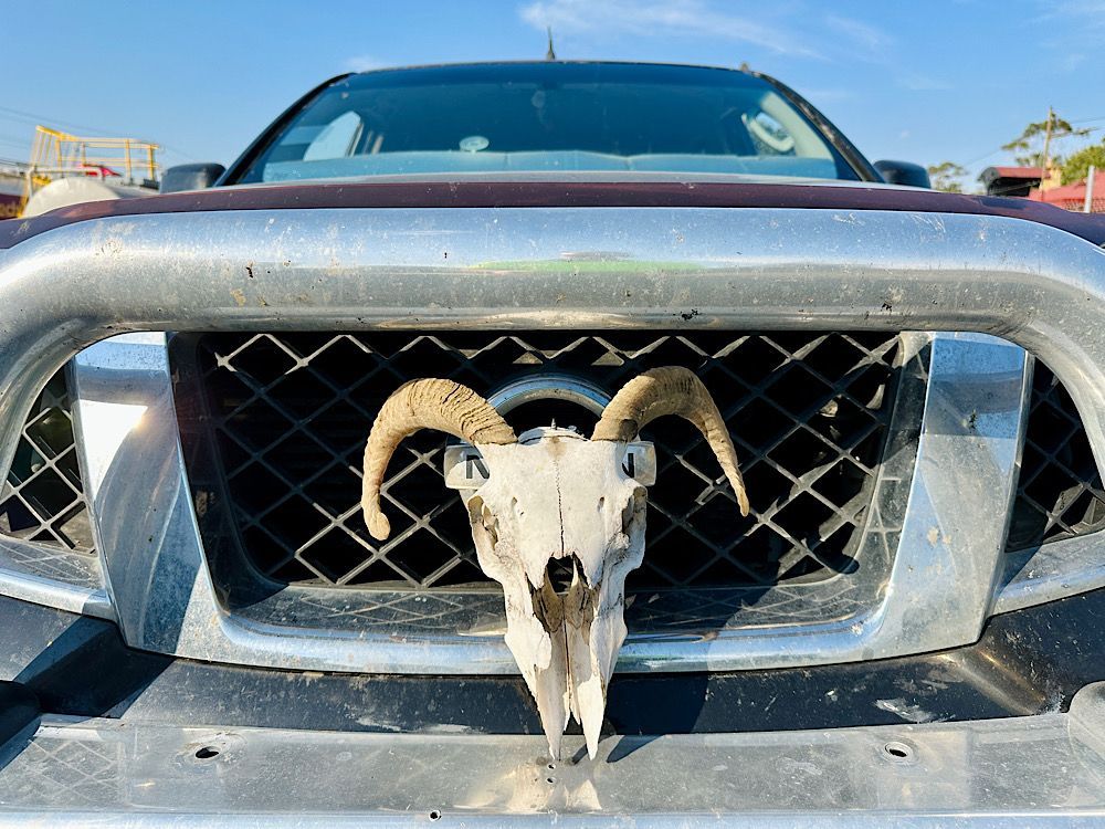 Pulls like a ram.

Shout out to Kyle, certainly knows how to have a laugh.

#nissan #dodge