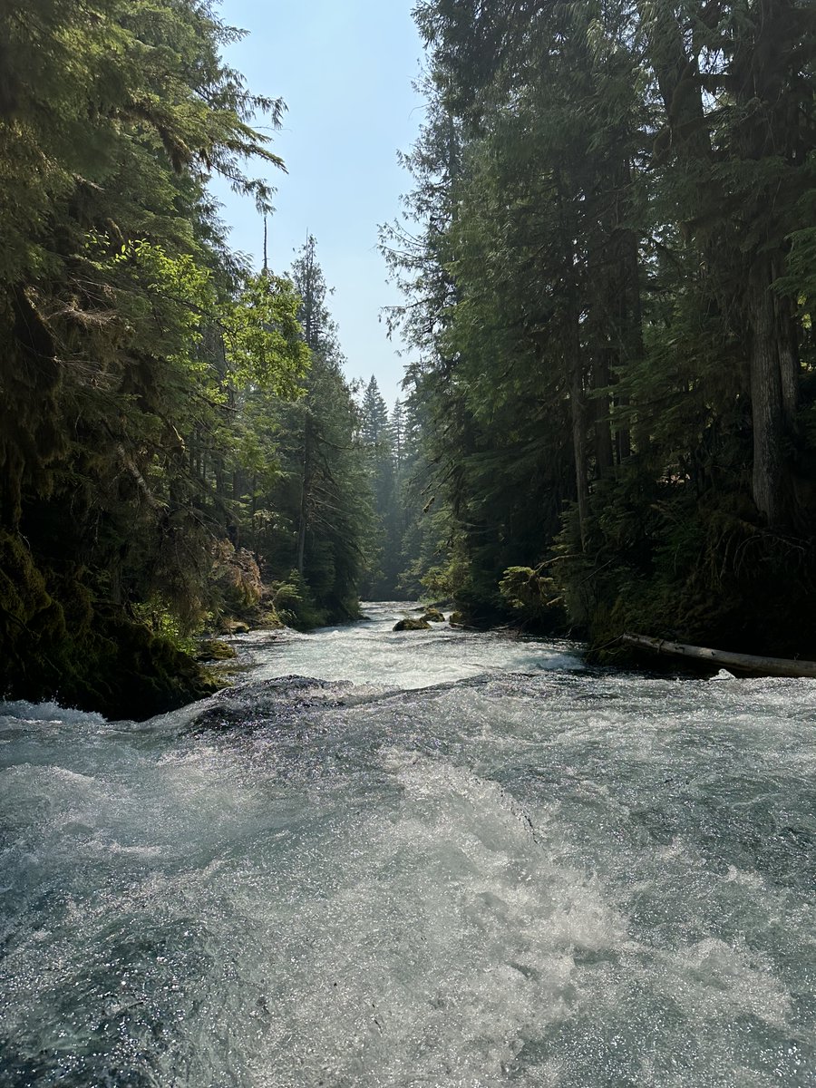 pacificpilgrim's tweet photo. Highly recommend reading "Apocalypse Never: Why Environmental Alarmism Hurts Us All." With fact and tact @shellenberger presents how we can steward nature AND grow society. Happily it is not an either-or...thank you, Michael Shellenberger, for a phenomenal book!! 🏞️🌆 https://t.co/NWpYnmxva5
