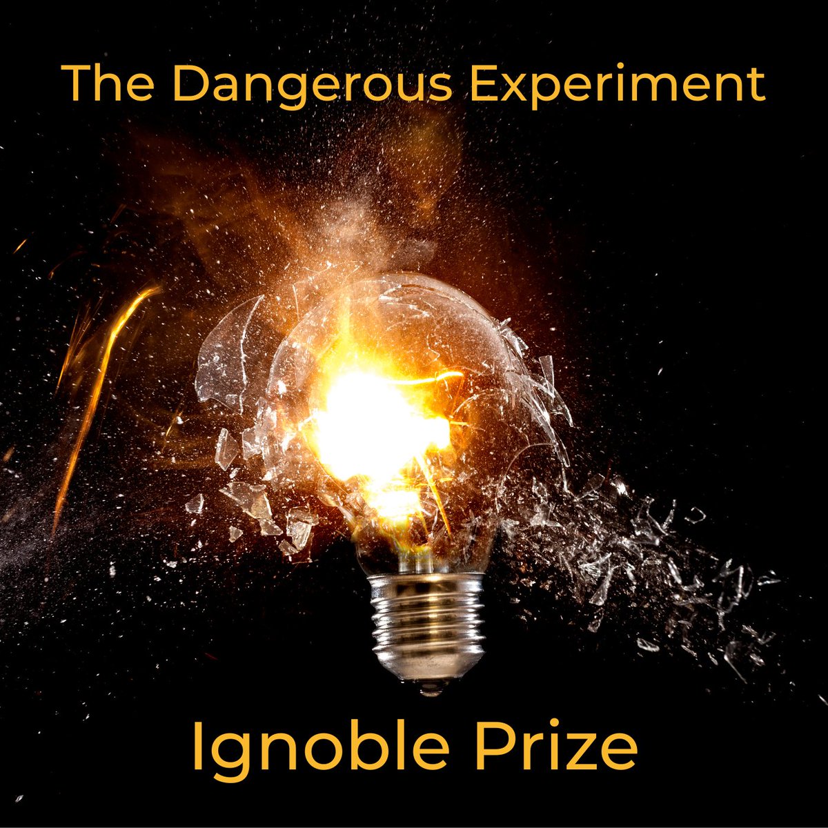 RP Long ๐๏ธ tweet media