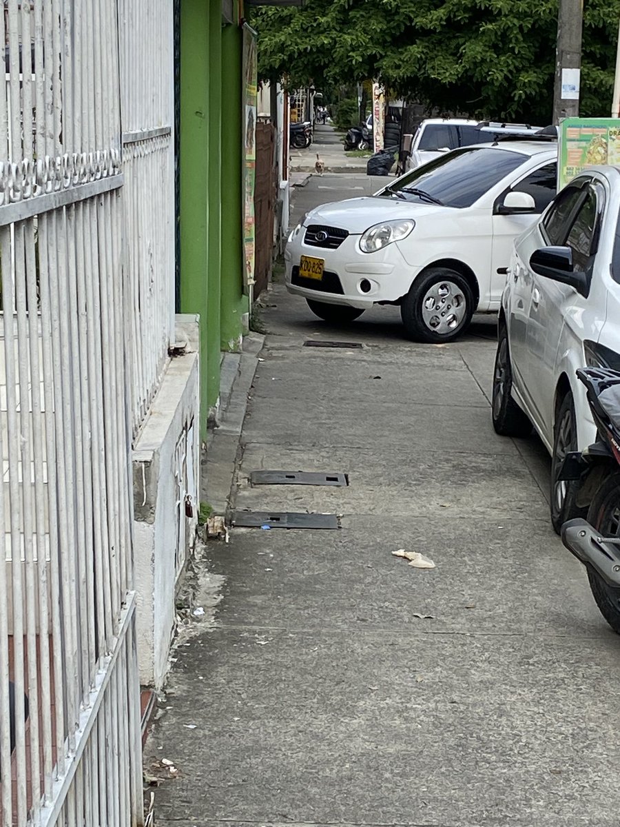 zalathielc's tweet photo. Hoy me acordé de @PeatonaLa
Comuna 11, barrio San Carlos
Definitivamente ¡No hay derecho!
#AndenesParaPeatones https://t.co/dXJOHWSoMD