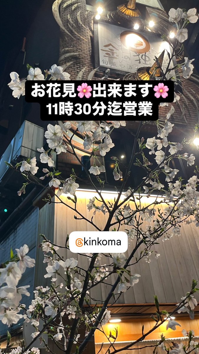 Kinkoma3's tweet photo. 土曜お得🉐
週末は美味しい和食
２様〜１５名様迄個室有◎
ご家族でのお食事　ご旅行等　幅広いシーンに◎ https://t.co/DzfS2jxXP1
16時から23時30分迄営業【各種宴会】【豊洲鮮魚生牡蠣自慢】レモンサワー記念日誕生日プレート花火でお祝い　#完全個室　#誕生日　#記念日　#2次会 #歓送迎会 https://t.co/j3Xsdbn42a