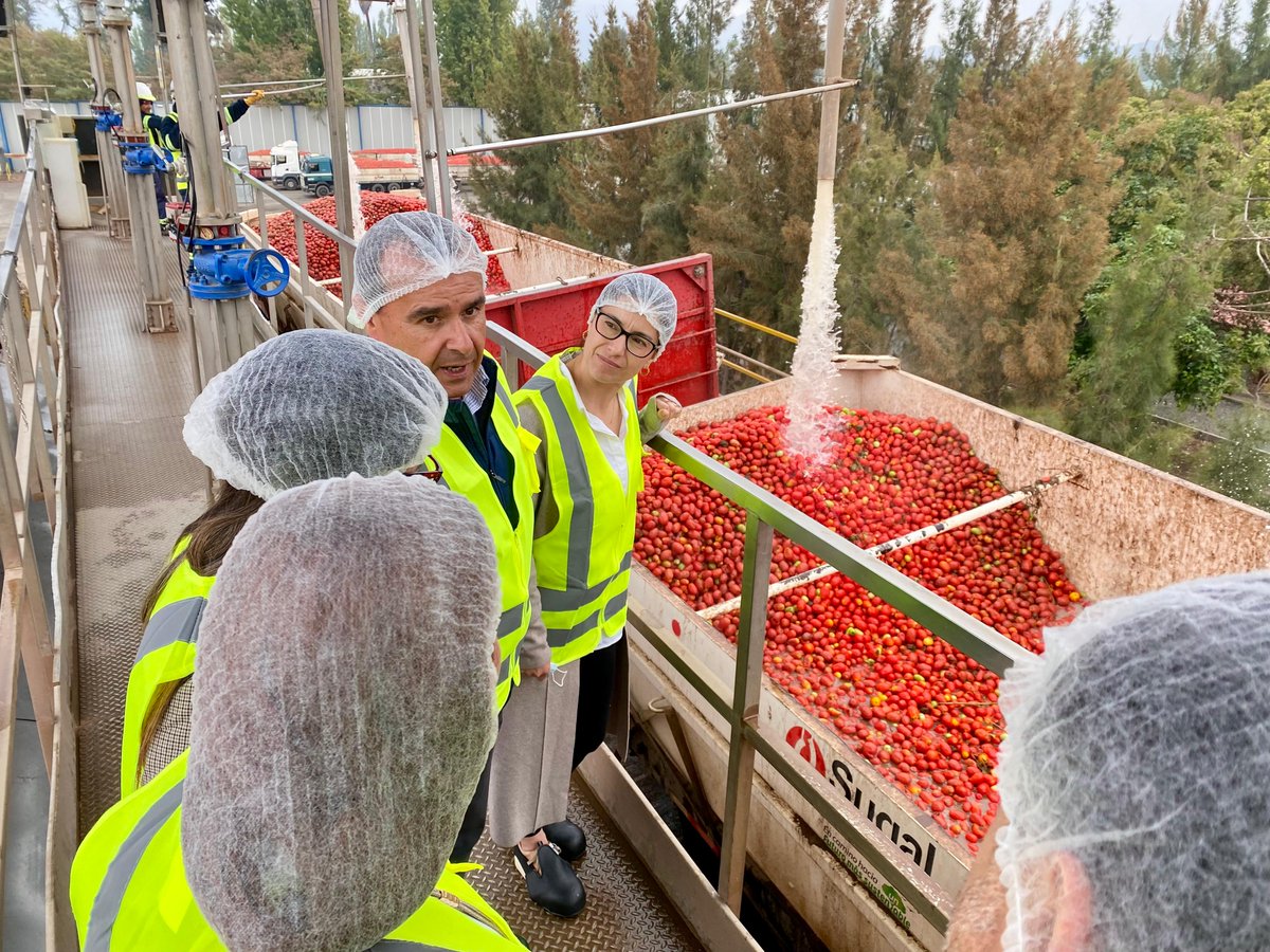 Corfo's tweet photo. Junto a @CorfoMaule, @CorfoOHiggins y el Subsecretario del @min_ciencia Cristian Cuevas visitamos la empresa Sugal 🍅 A través del Programa de Absorción Tecnológica y la Ley I+D buscan innovar para mejorar la productividad y sostenibilidad de sus procesos https://t.co/FEOiGvqIXq
