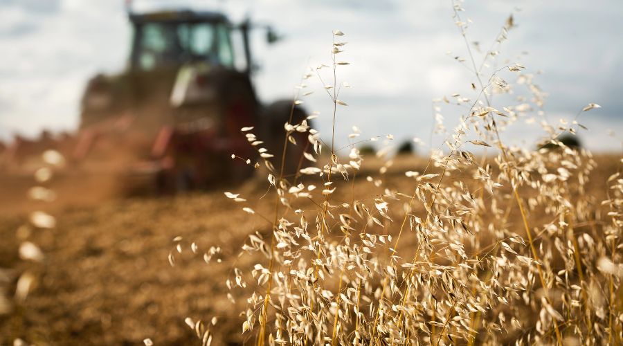 FarmersGuide's tweet image. ❌ ICYMI: Scottish farm incomes experienced a sharp decline in 2023/24, with farm profits being cut by half ❌

farmersguide.co.uk/business/finan…

#ScottishFarming #FarmIncome #AgricultureNews #FarmingCommunity #ScottishGovernment #FarmProfits #RuralEconomy #ScottishAgriculture