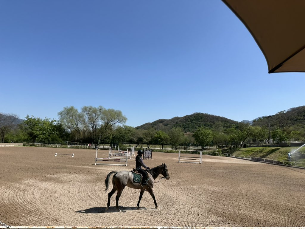 ElZeeeein's tweet photo. Montando a caballo y comprando plantas pal depa 🌱🐎

https://t.co/UeVE4zOx4b https://t.co/tMNGPLlkTv
