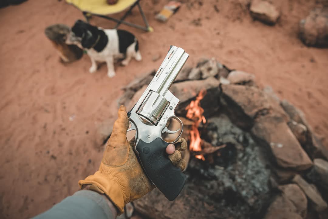 Airfemale14's tweet image. 🇺🇲 Packing Heat! 🔥
#ColtOfficial #ColtPython #WheelgunWednesday