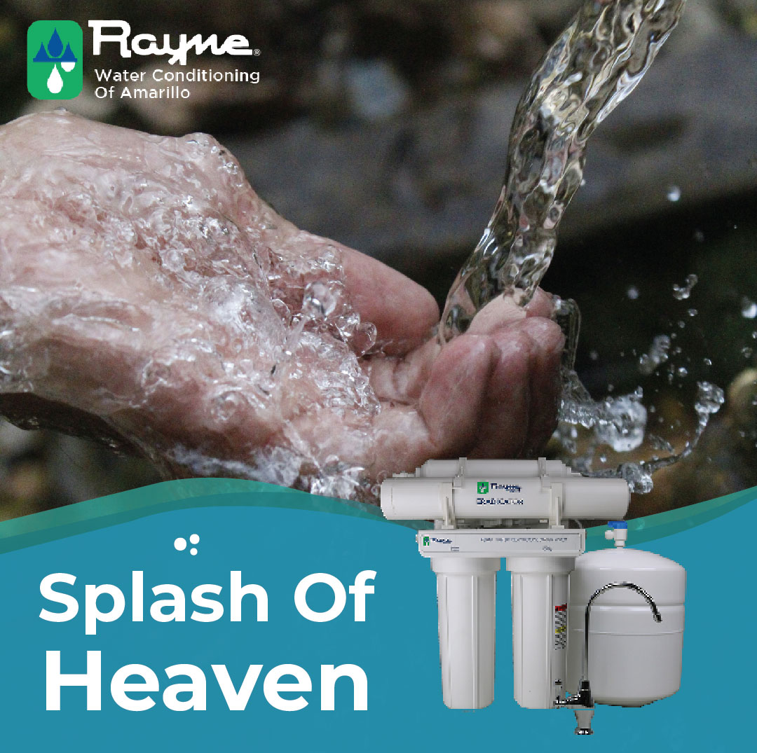 rayne_amarillo's tweet image. 💧 Clean water = peace of mind. Ensure your family has safe water for drinking and cooking. 

🖥️ Schedule your FREE consultation today → bit.ly/RayneWaterCons… and let Rayne Water find the perfect solution!

#RayneWater #CleanWaterMatters #SafeWaterSolutions #FreeConsultation