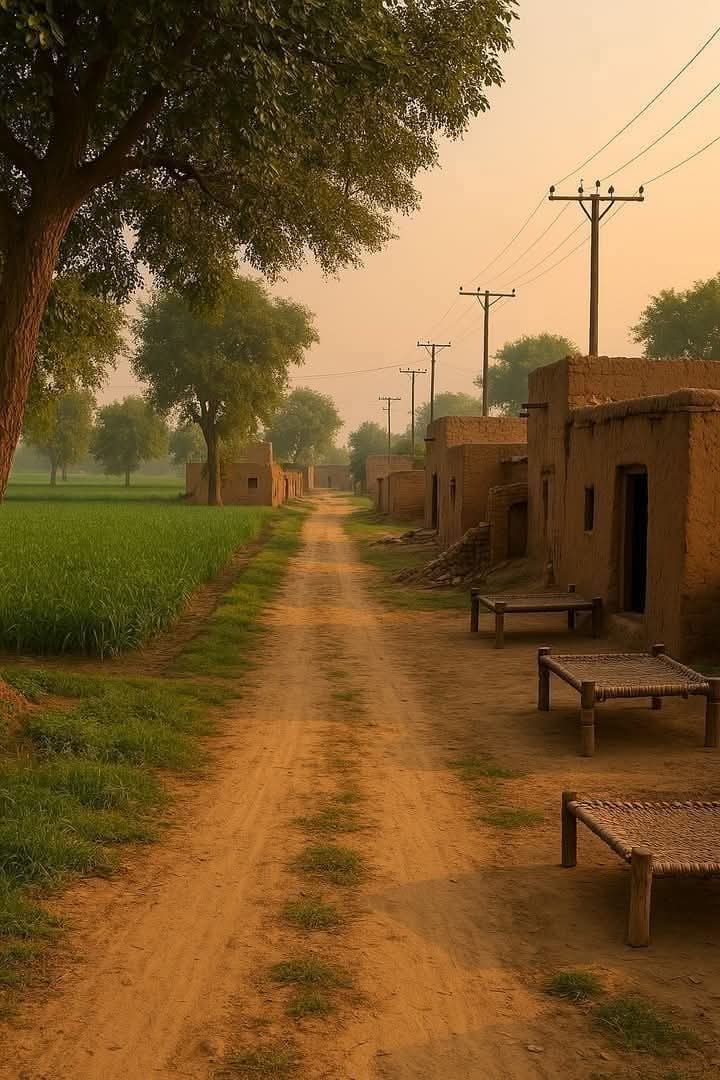 शहर का अस्तित्व बनावट तक ही सीमित रह गया है,

गांव की सुबह ने समेट रखा है प्रकृत्ति का सारा सौंदर्य..❤️