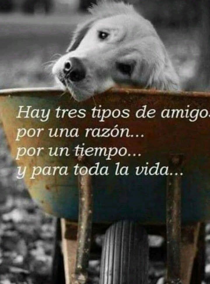 Derly Acevedo Hoyos tweet media