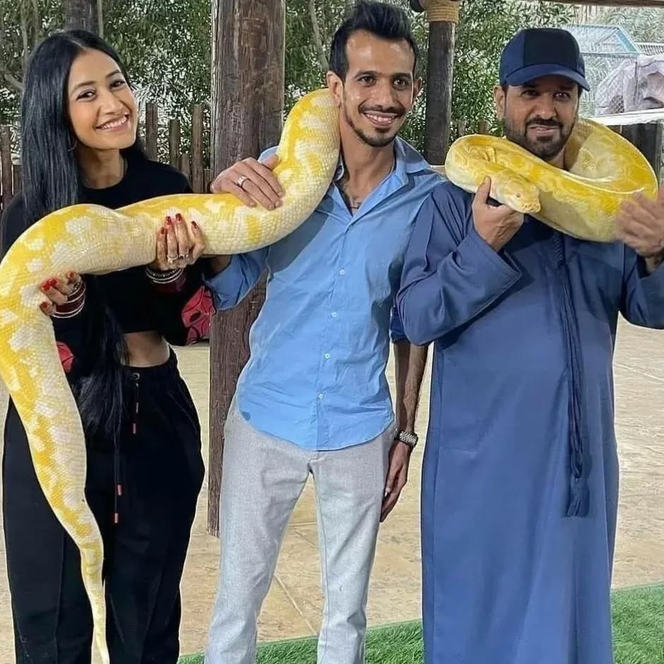Pooja Bishnoi tweet media