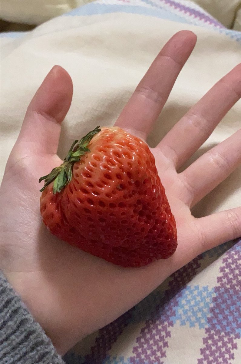 超大粗莓