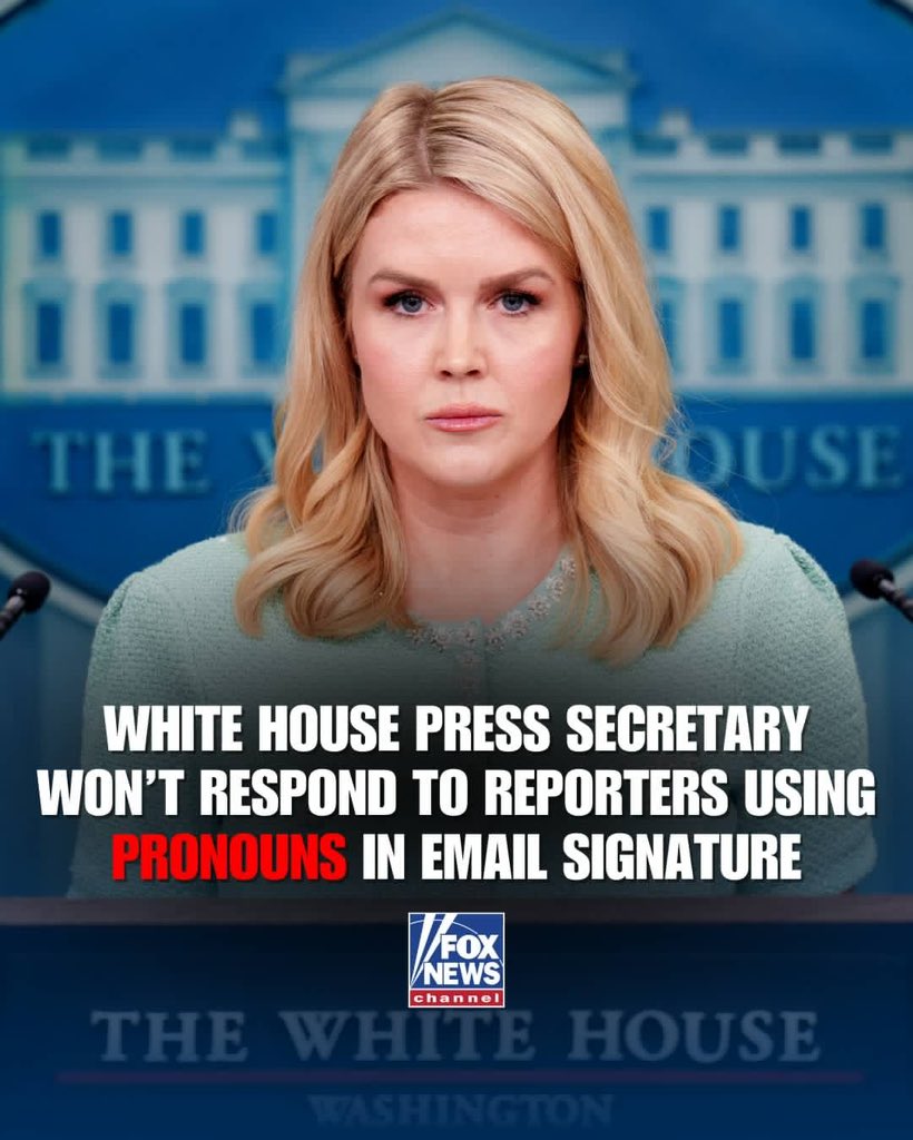 Libs of TikTok tweet media