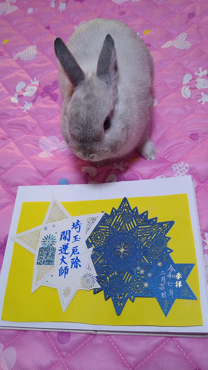今回は星の輝きを精緻な切り絵で表現した御朱印です🐰⭐️✨王子様２世もこの神秘的な作品に見入っておられました。