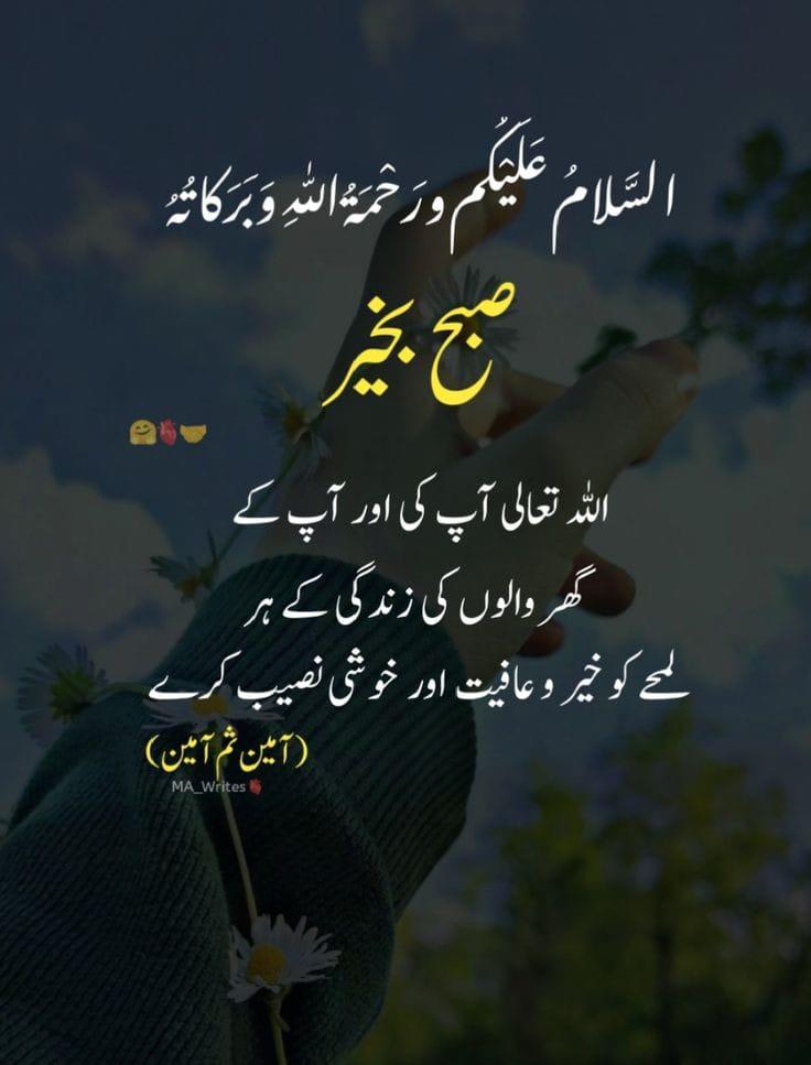 SyedAdnanGilani's tweet photo. السلام علیکم #Falsteen @AdrianaAna94877 @AbassNasim5374 @Bepeer999 @Ashrafkashmeri2 @C0b1ra @NOREENSIAL @KhawajaSyed @MediaCellPPP @syedagulwis @rpshawry https://t.co/IVA8zzRdBZ