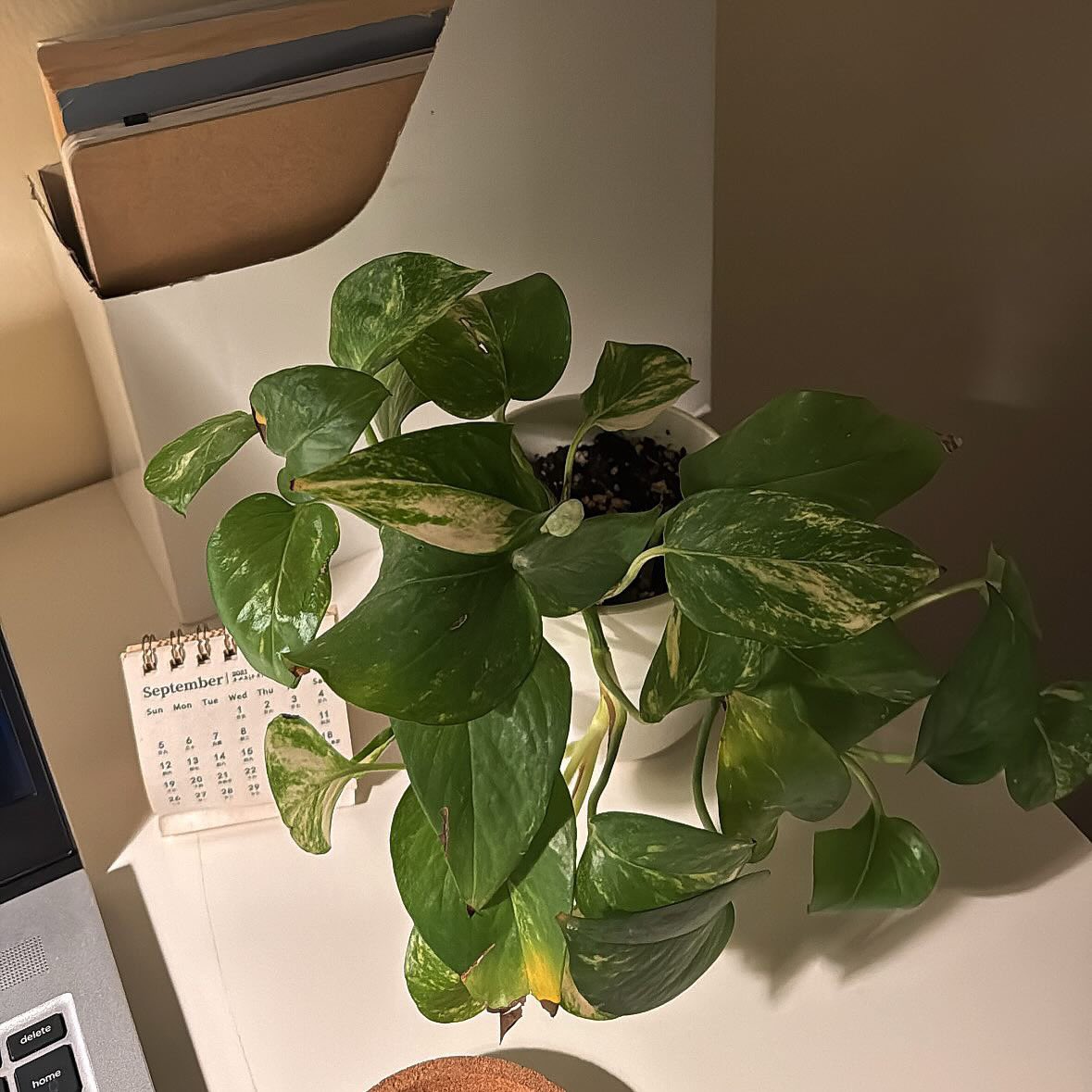 Na_iiw's tweet photo. Wednesday | 10:17pm ❣️🌱= https://t.co/KEuwnnKGvA