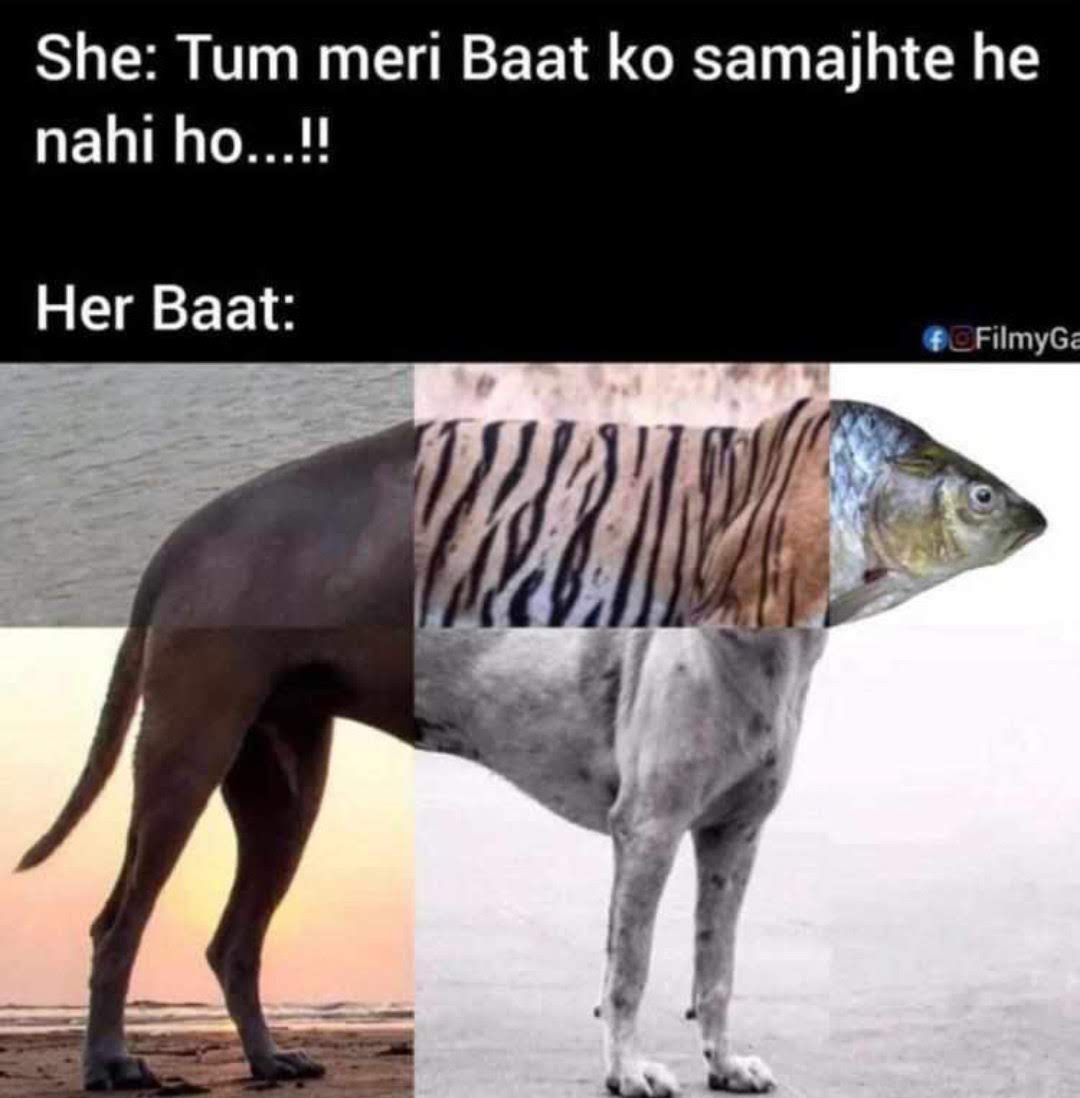 ransomredrum's tweet photo. Reiterating
A wiser person once said,just recently
"सुनो, लईफ ना बीना हिउमर के सिर्फ़ मर होता है"
📸: how can you understand what she says🤓
#JustHumorAllTheWay
#TheThursday
#LaughterDoseManyTimesDaily
#DontTakeInUdtaTeer
#JustPunAndFunWithOffenceAtNone
#DarrKAageJeetHai
pc:WA https://t.co/oF4Eda2On7