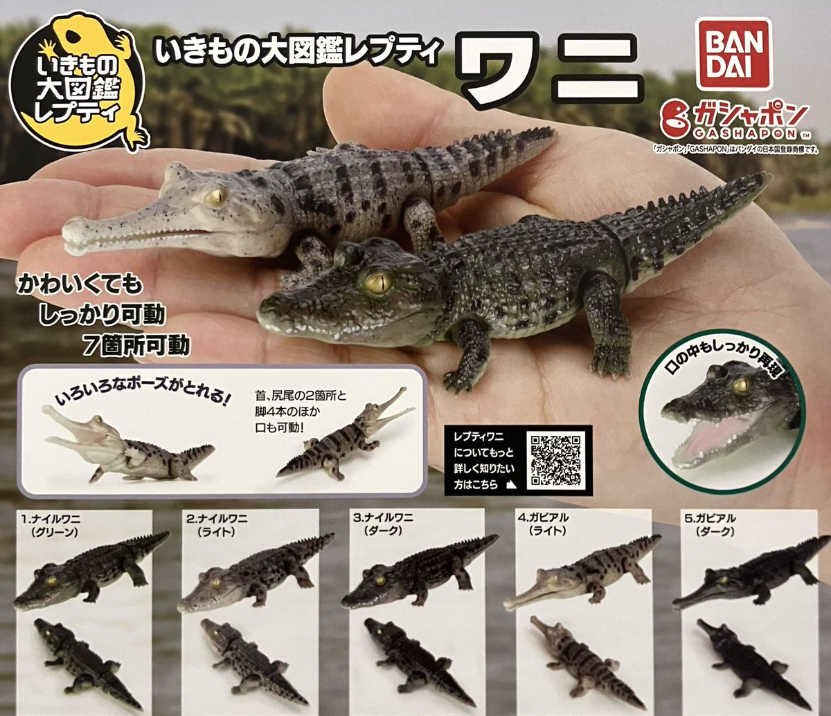 🌈4月10日再入荷情報🌈② 💄MAJOLICA MAJORCA ミニチュアチャーム