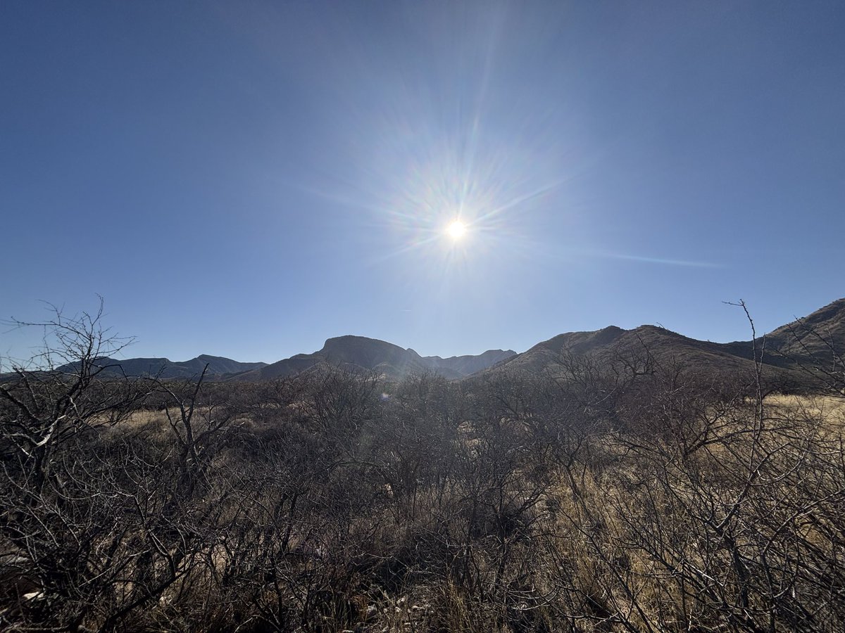 captaintrashly's tweet photo. adventures today ⛰️🏜️🌵 https://t.co/MPbbi4OjcO