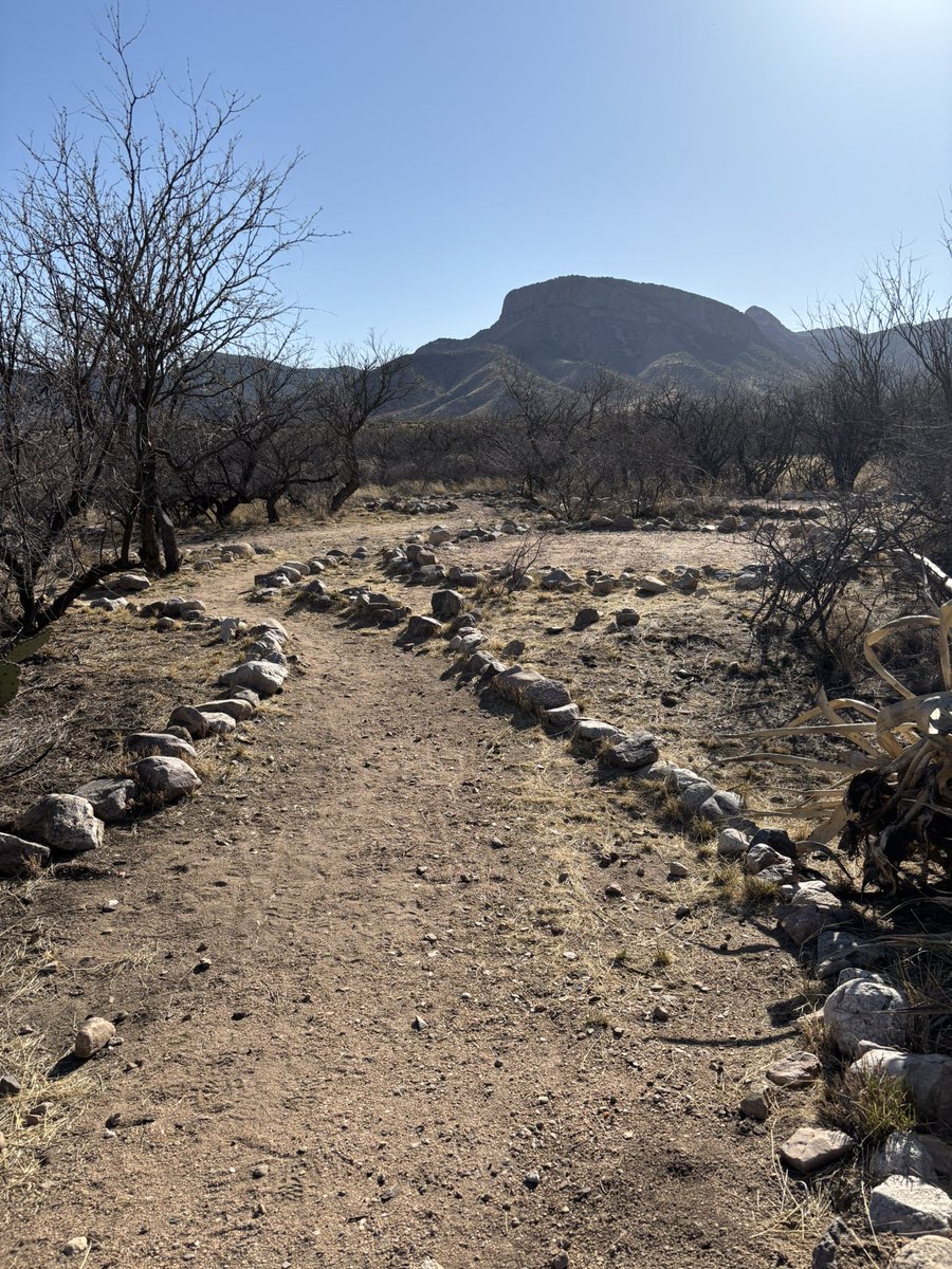 captaintrashly's tweet photo. adventures today ⛰️🏜️🌵 https://t.co/MPbbi4OjcO