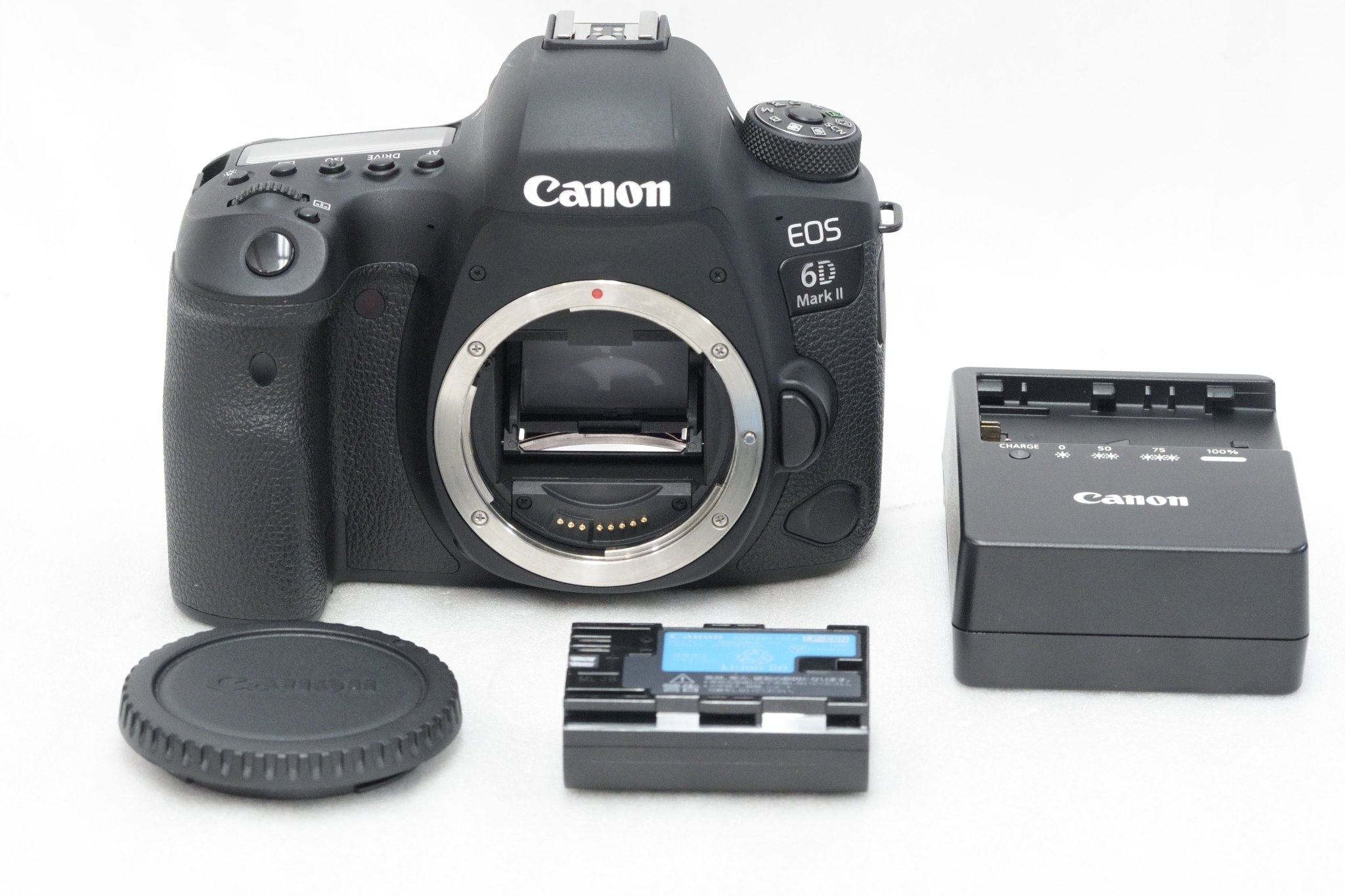 Canon EOS 6D Mark II 一眼レフカメラセット レンタル] Canon EOS 6D Mark II - キャノンの一眼レフカメラを