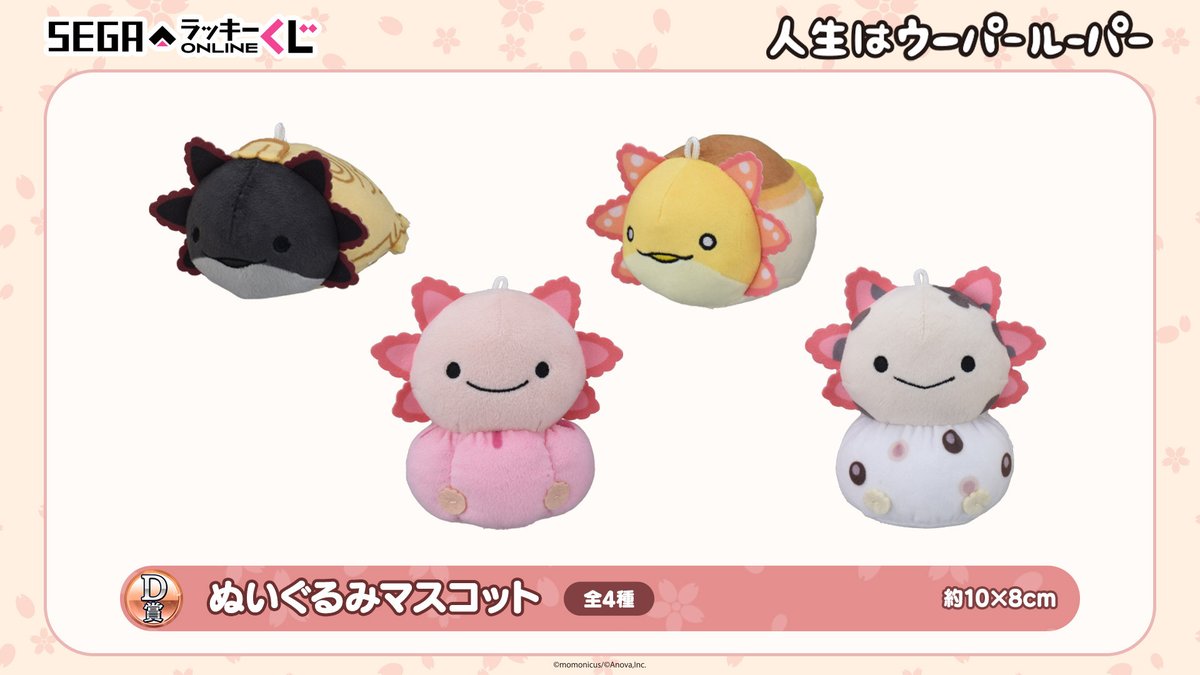 seganewsnavi's tweet image. セガ ラッキーくじオンライン
「人生はウーパールーパー -和菓子屋さん開店！-」🎊

はっぴ衣装や和菓子すがたがかわいいセガ限定のオンラインくじ🍡
Amazon Payや楽天ペイ対応！初心者でも簡単にくじが引けます🍵

🌸販売サイト🌸
segaluckykujionline.net/kuji/Axolotl

#人生はウーパールーパー