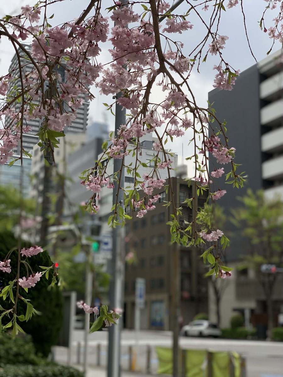 At3hrU's tweet photo. ⛅️ #nihombashi #hamacho ,#meijiza mae
#日本橋浜町 #明治座 #遊歩道 https://t.co/CGJpi9mK2G