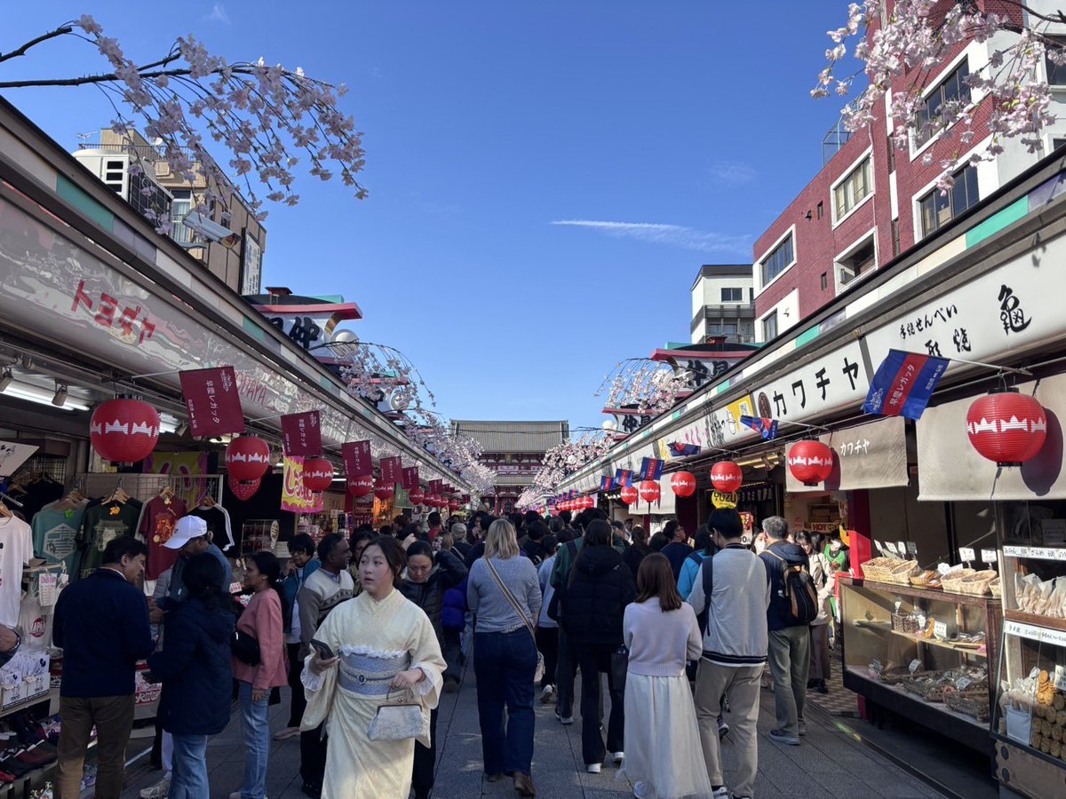 #早慶レガッタ
4月6日より仲見世通りに旗をさしています。
早慶レガッタは、4/13(日)に開催される、ボートの早慶対校レースです🚣‍♀️
浅草観光の際にはチェックしてみてください！