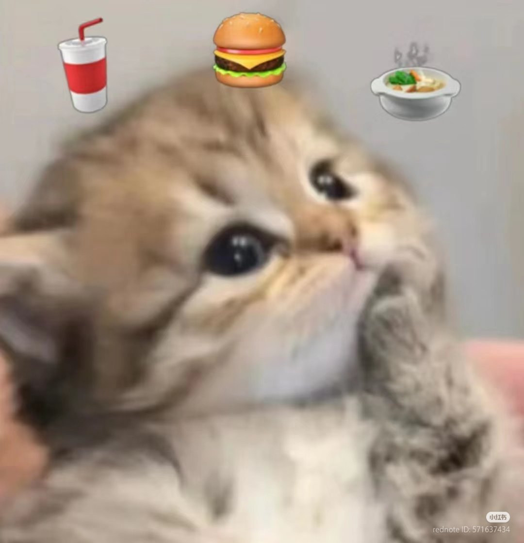 nocontextscats's tweet photo. Me after 1 day of diet https://t.co/SUGJ8d0i5L