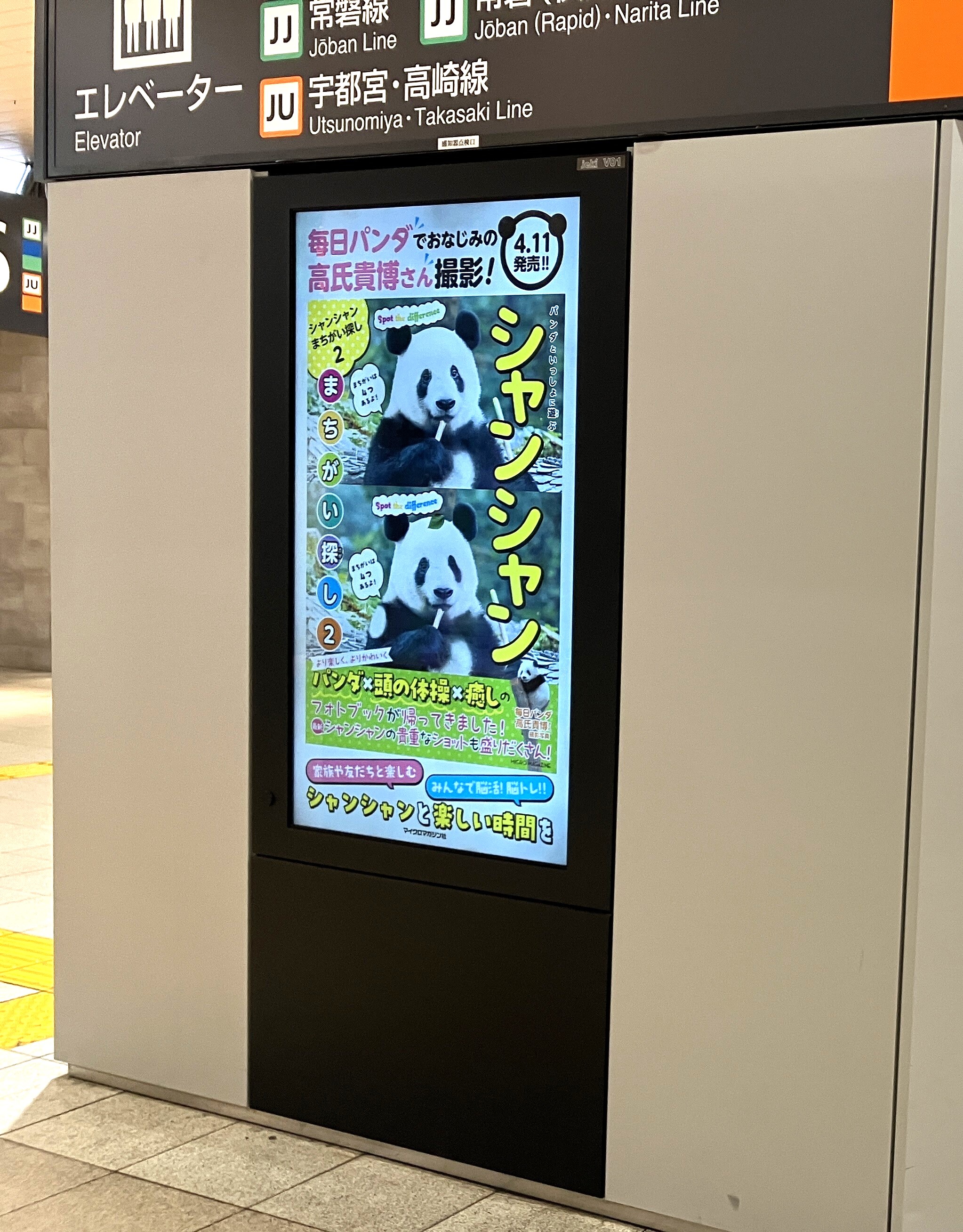 Amazon | アドベンチャーワールド パンダ くろしお 電車 | 鉄道