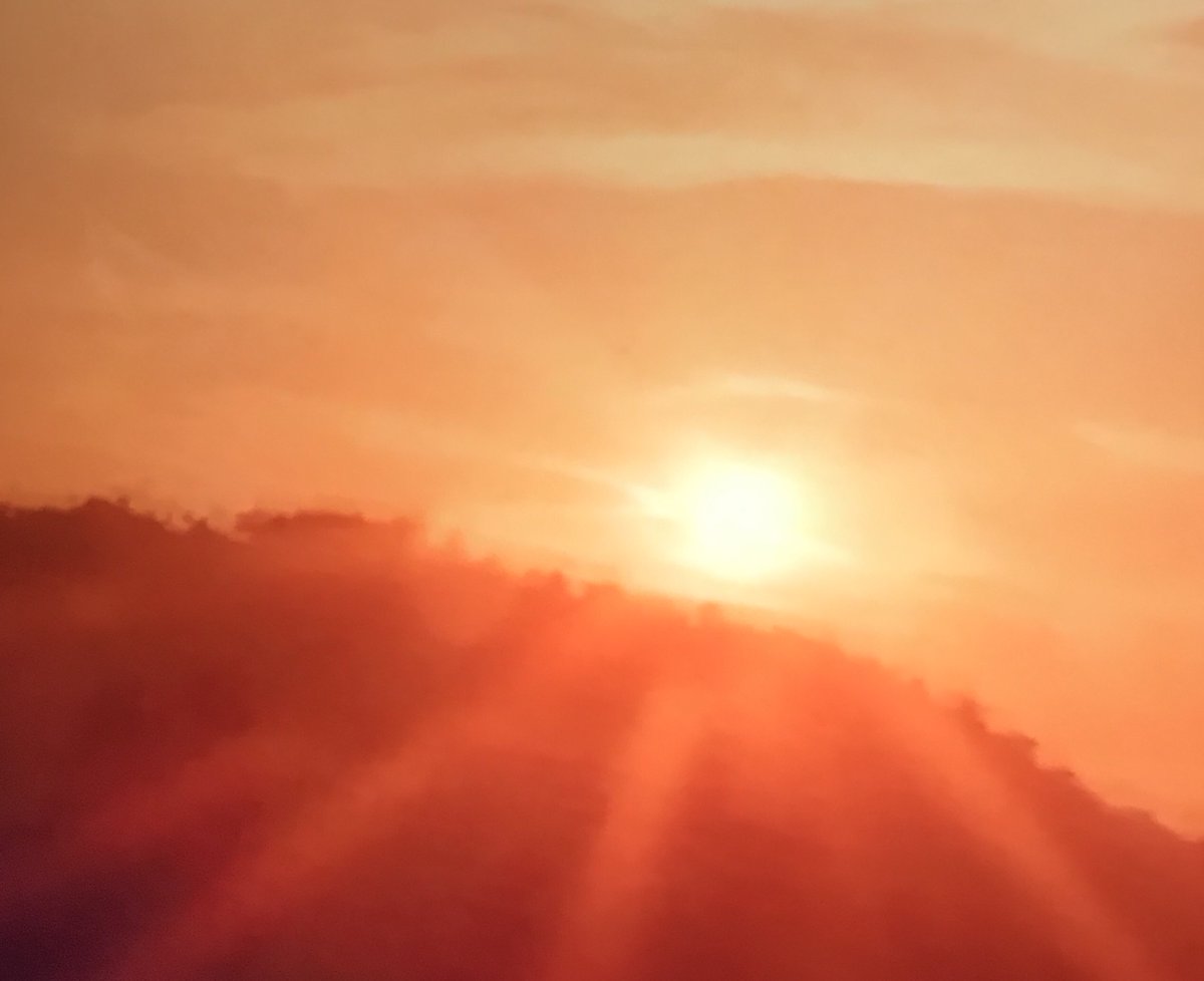 Follow your bliss &amp; the universe will open doors where there were only walls - Joseph Campbell 
#bliss #happiness #joy #light #good #feelings #sun